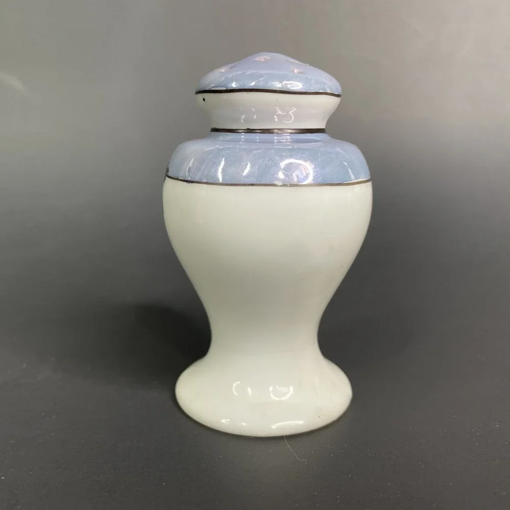 Vintage Lustreware Salt & Pepper Shaker Set Japan Porcelain Hand Painted Parrots